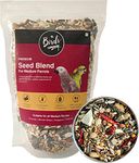 The Birds Company Premium Seed Blend of 12 Grains & Nuts, Fortified with Spirulina, Bird Food for Medium Parrots, African Grey, Conures, Eclectus of All Life Stages, 900 g