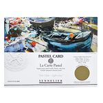 SENNELIER La Carte Pastel Card Pochette, 15.75" x 11", Monochromatic Light Gray