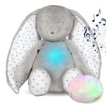 Diddou White Noise Machine Baby Newborn Toys Baby Sleep Night Light Teddy Shusher Newborn Girl Boy Toys Shower Gifts USB Rechargeable