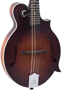 The Loar L
