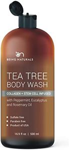 Tea Tree B