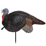 Turkey Decoys