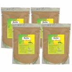 Herbal Hills Amla Powder (1 Kg Pack of 1)