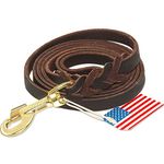 Leather Dog Leash 6ft - Braided Heavy Duty Leather Dog Training Leash with Copper Hook for Large Medium Small Dogs Training & Walking