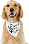 Dog Bandana, EYLEER My Humans are Getting Married Dog Bandanas Scarfs Bibs for Small Medium Large Dogs Boy Girl Engagement Wedding Announcement Accessories Gifts (My Humans are Getting Married)