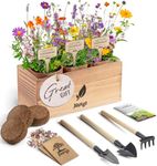 AVERGO Wildflower Seed Mix Growing Kit - Includes Perennial & Annual Wild Flowers, Burlap Planters, Soil, Wooden Box, and Gardening Tools for Indoor Garden and Patio Planting