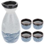 DOITOOL Japanese Sake Set Ceramic Sake Set - 1 Sake Pot and 4 Sake Cups - Traditional Sake Set Wine Glasses Tea Cups Sake Cups - Porcelain Sake Set for Warmers