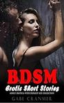 BDSM Erotic Short Stories for Women