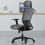 FLEXISPOT OC3B Executive Ergonomic Office Chair Height Adjustable Mesh Computer Chair with Adjustable Headrest Armrest Lumbar Support Home Office Desk Chair Gray