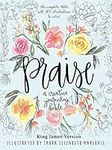 Praise: A Creative Journaling Bible