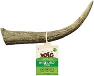 Whole Medium Antler 1 Pack, Natural New Zealand Long Lasting Dog Treat Chew, Perfect for Medium Breeds