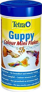 Tetra Gupp