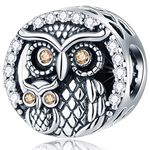 Mother Baby Owl Family Charms - fit Pandora First Mothers Day Bracelet, 925 Sterling Silver Always by Your Side Mum/Child Bird of Night Beads, Gift for Christmas/Grandma/Friends