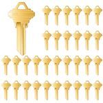 Lesnala 32Pcs Blank Keys Bulk Uncut Blank Keys SC1 Key Blanks in Premium Brass for House Door Lock Replacement Universal Kwikset Brass Finish (Golden SC1)