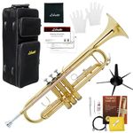 Libretto Gold Lacquer Bb Trumpet Set, Rose Brass Leadpipe, Standard for Beginner & Intermediate Students, Stainless Valve, 7C Mouthpiece, Durable Case, Portable Stand & Maintenance Kit w/Instructions