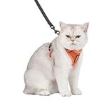 Voyager Step-in Lock Cat Harness w 