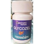 GLYCOZEL TAB 120 PACK OF 2