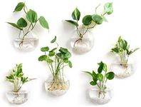 Mkono Wall Hanging Glass Terrariums