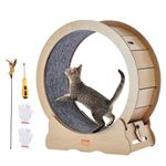 VEVOR Cat Exercise Wheel, Large Cat Treadmill Wheel for Indoor Cats, 29.5 inch Running Wheel with Detachable Carpet and Teaser for Running/Walking/Training, Suitable for Most Cats