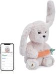 EBLOMA AI Companion for Teens 13+, Interactive Bunny Plush with Real-Time Chat, Voice Response & Fast Answers, Expressive Personality for Questions and Daily Conversations, No Subscription