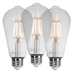 LED Edison Light Bulbs - Dimmable Bulb, ST64 Vintage Style Decorative Antique White Lamp - 60W Equivalent, 110V, 480 to 700 Lumens, E26 Base Fixture - Clear Glass, Pack of 3 - BASICS HARDWARE