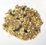 Pet Performance Wild Bird Seed Garden mix with Aniseed All Year Round Feed 100% Natural Nutritional Bird Seed for Small Garden Birds