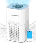 Duct Air Purifier