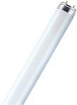 Osram 4Ft 36w T8 Fluorescent Tube - Colour 865 - Daylight [6500k]