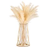 Sziqiqi Metal Wire Glass Vase for Flower, Modern Gold Flower Vase for Pampas Grass Geometric Tulip Vase for Table Decorative Bud Vase for Living Room Dining Room Bedroom Wedding Centerpiece Decoration