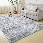 Andency 3x5 Shag Area Rug for Livin