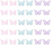 DANUDON 30PCS Butterfly Lace Trim, 