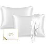 Texbee Silk Pillow Cases 2 Pack Silk Pillowcase for Hair and Skin Standard Size 20"x26" 22momme, Both Sides Grade 6A Silk with Hidden Zipper(Ivory White)