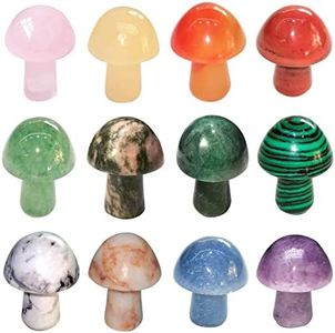 MEISO Natural Stone Mushrooms Sculptures, 12 Pcs Healing Crystals, Mini Mushroom Shape Agate Quartz Crystals, Crystal Mushrooms for Meditation Chakra Balancing Healing Reiki Yoga DIY Garden Lawn Home