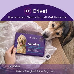 ORIVET GenoPet Plus Dog DNA Test – Breed & Health Screening Kit