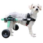 Lightweight Dog Wheelchair - for Small Dogs 11-25 Pounds - Veterinarian Approved - Dog Wheelchair for Back Legs