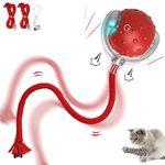 Iokheira Interactive Cat Toy Electric Automatic Toys for Indoor Cats, Rechargeable Irregular Moving Toys, Stimulate Cats' Hunting Instincts, Cats Adult, All Floors & Carpet Available