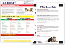 Poison Safety & CPR for Dogs and Cats Chart - Food and Plants Toxic to Cats and Dogs Kitchen Magnet - Animal Safety Magnet - CPR for Pets - Emergency Chart for Pets - 8.5 inches x 11 inches