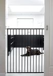 Scandinavian Pet Design Extra Tall Extendable Dog Gate, 62.5-106.8 cm/24.6-42 inches wide, 103 cm/40.5 inches high, Extendable Stair Gate/Pet Gate/Safety Gate, Metal, Black, Made in Denmark