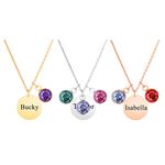 HooAMI Personalised Necklace,Name Necklace With Birthstone Customized Pendant Birthday Gifts for Women/Men