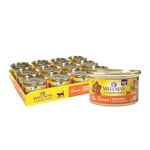 Wellness Natural Pet Food Complete Health Gravies Grain Free Canned Cat Food, Chicken Dinner, 3 Ounces (Pack of 12)