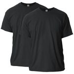 Gildan Mens Ultra Cotton T-Shirt, Style G2000, Multipack T Shirt, Black (2-Pack), Large US