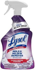 Lysol Mold