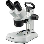 Stereo Microscopes