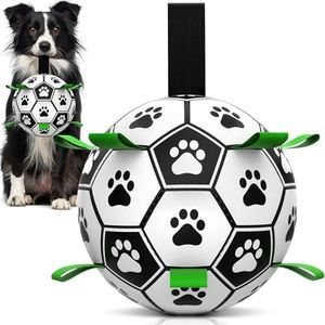 HETOO Dog 