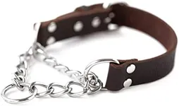 Mighty Paw Leather Training Collar,