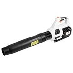 LIGO Brushless Leaf Blower