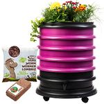 WORMbox | Wormery Worm Farm composter 4 Raspberry Trays + Planter + 500gr of Compost Worms / 1000 ctn + 1 Coco | 64 liters | Organic Waste Compost, make your Worm Castings