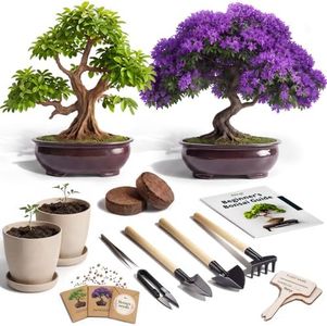 Bonsai Starter Kit – 2X Bonsai Tree | Complete Indoor Starter Kit for Growing Bonsai Plants with Tools & Planters – Gardening Gifts for Women & Men