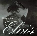 It's Now Or Never: Tribute to Elvis