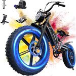 X50 Electric Bike for Adults with 20'' Fat Tyres, 48V 14Ah Removable Battery & 250W Motor, 7-speed Electric Bicycle with LCD Smart Display NFC Card and Indicators, Off Road Ebike for Adults commuting